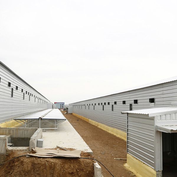 Multi Storey Prefab Steel Structure Building Chicken House